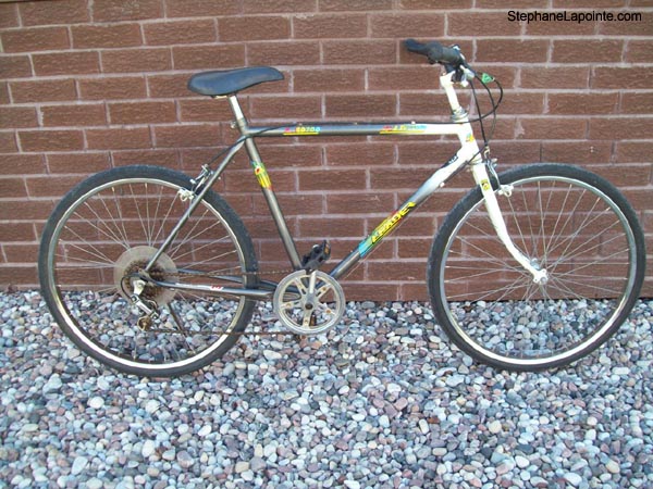 Vélo Leader L60700 - StephaneLapointe.com