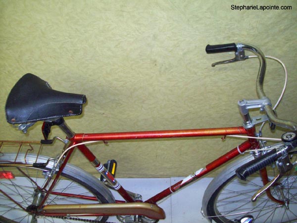 Vélo Rapido Olympic - StephaneLapointe.com