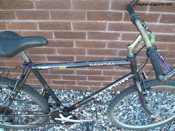 Vélo Raleigh Tarantula - StephaneLapointe.com