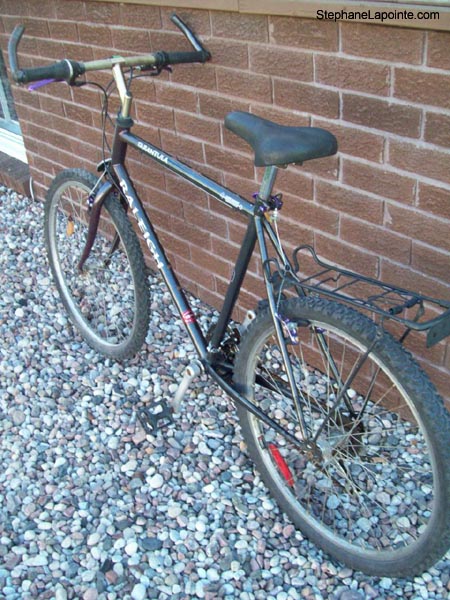 Vélo Raleigh Tarantula - StephaneLapointe.com