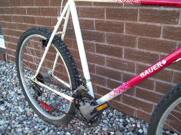 Vélo Steve Bauer Caurus - StephaneLapointe.com