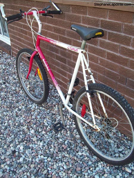 Vélo Steve Bauer Caurus - StephaneLapointe.com
