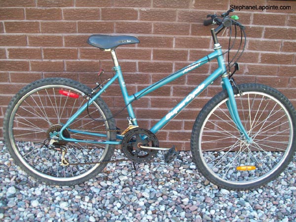Vélo Supercycle Ascent - StephaneLapointe.com
