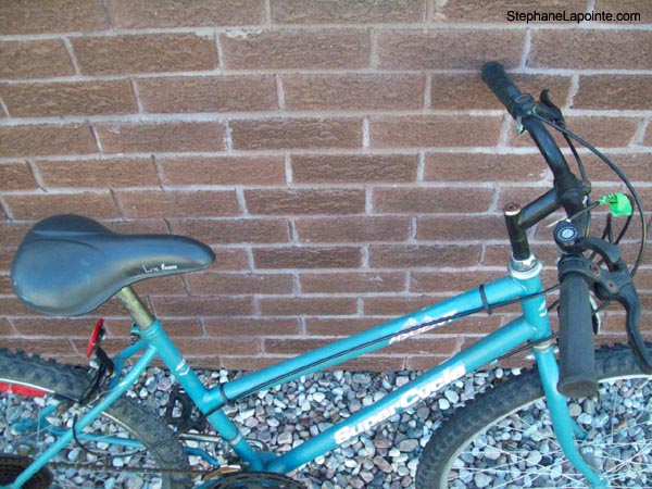 Vélo Supercycle Ascent - StephaneLapointe.com
