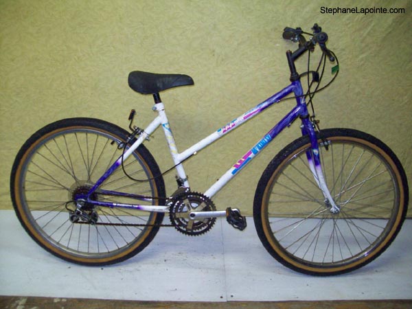 Vélo McKinley Aventurier - StephaneLapointe.com