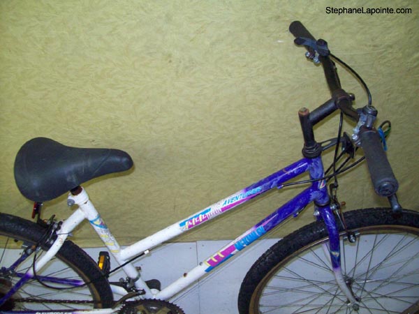 Vélo McKinley Aventurier - StephaneLapointe.com