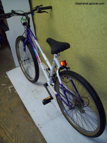 Vélo McKinley Aventurier - StephaneLapointe.com