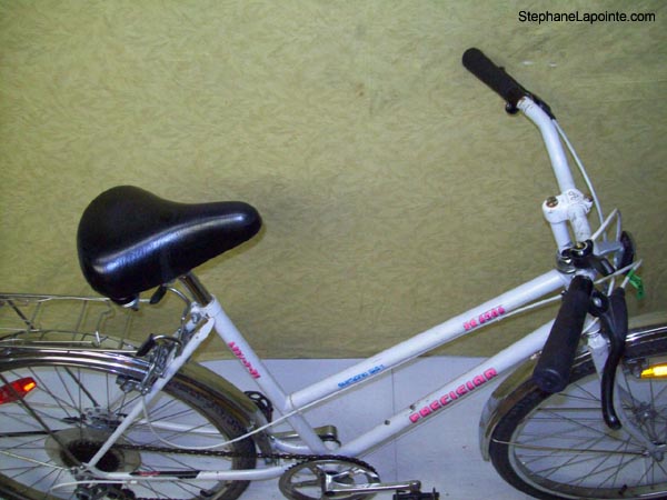 Vélo Precision PR 6006 - StephaneLapointe.com