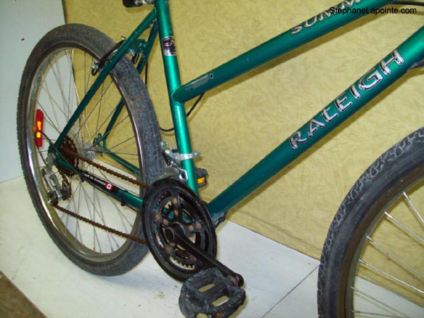Vélo Raleigh Summit - StephaneLapointe.com