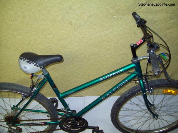 Vélo Raleigh Summit - StephaneLapointe.com