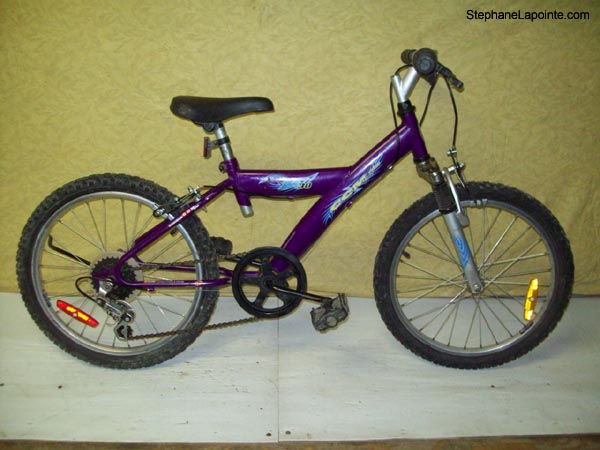 Vélo CCM M30 - StephaneLapointe.com