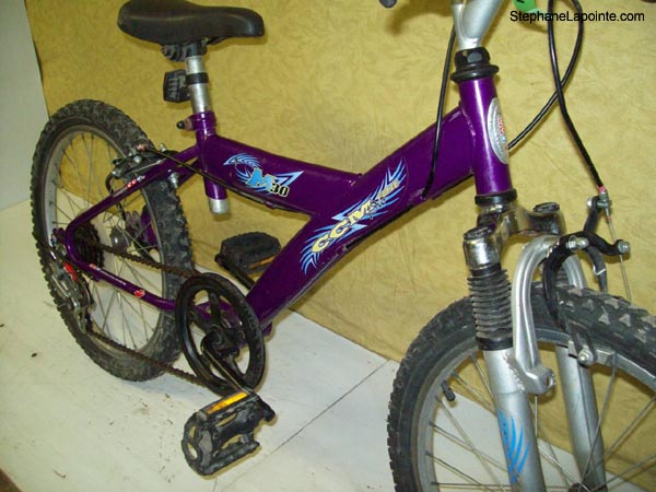 Vélo CCM M30 - StephaneLapointe.com