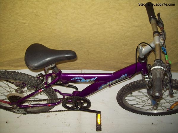 Vélo CCM M30 - StephaneLapointe.com
