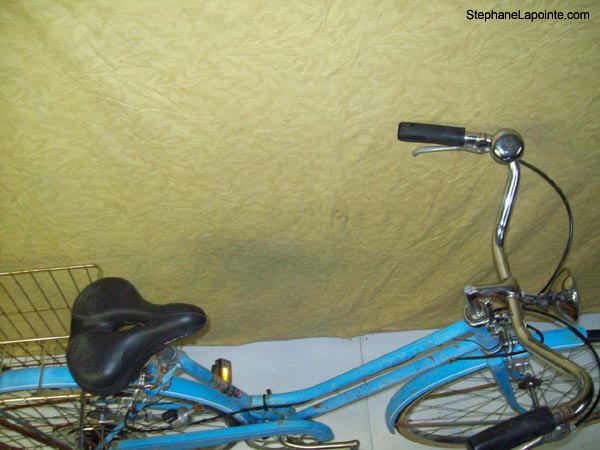 Vélo Schwinn Suburban - StephaneLapointe.com