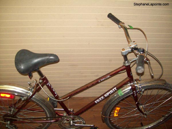Vélo Free Spirit FS400 - StephaneLapointe.com