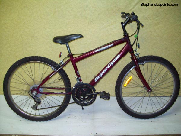 Vélo Supercycle 1500 - StephaneLapointe.com