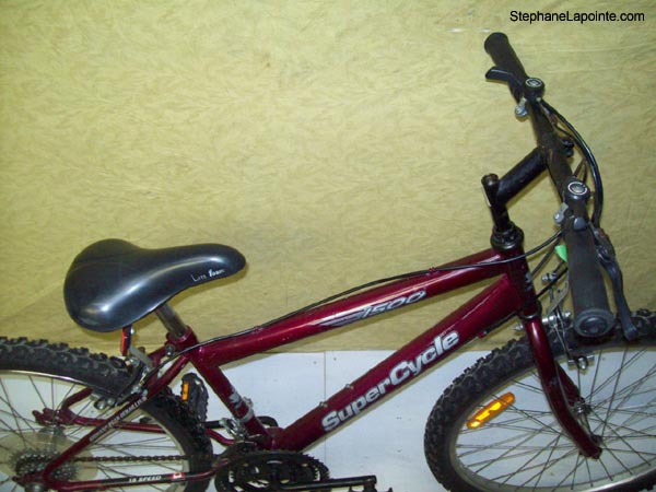 Vélo Supercycle 1500 - StephaneLapointe.com