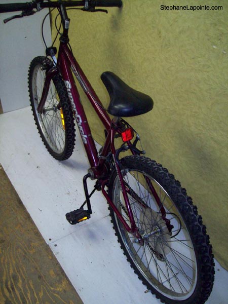 Vélo Supercycle 1500 - StephaneLapointe.com