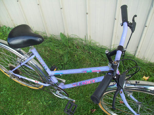 Vélo Leader LE 60706 - StephaneLapointe.com