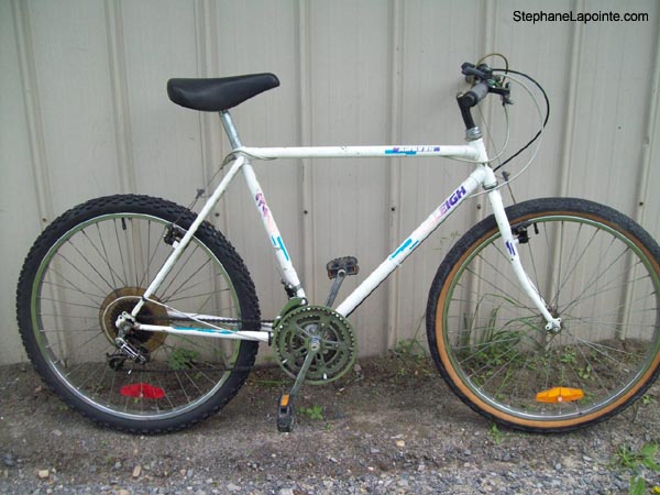 Vélo Raleigh Ambush - StephaneLapointe.com