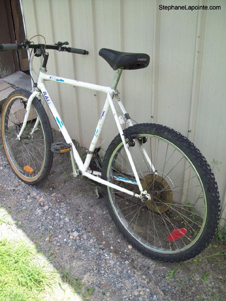 Vélo Raleigh Ambush - StephaneLapointe.com