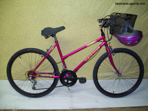 Vélo Venture Roadrunner - StephaneLapointe.com