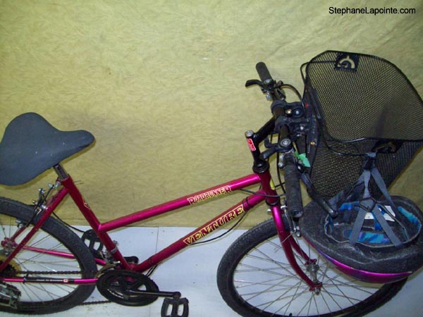 Vélo Venture Roadrunner - StephaneLapointe.com