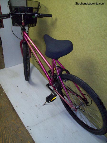 Vélo Venture Roadrunner - StephaneLapointe.com