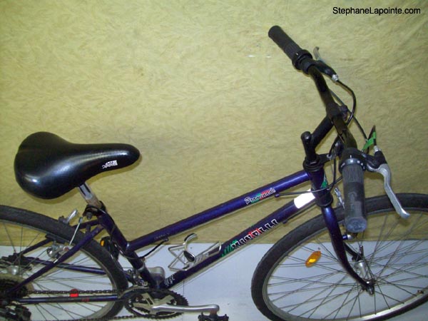 Vélo Minelli Promenade - StephaneLapointe.com