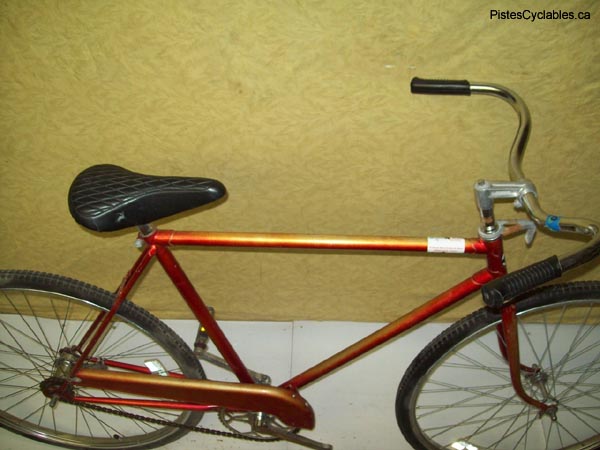 Vélo Rapido  - StephaneLapointe.com