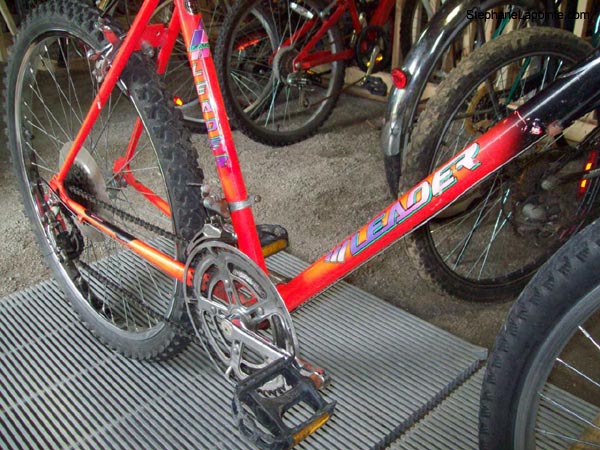 Vélo Leader LE 60730 - StephaneLapointe.com