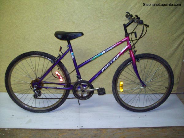 Vélo Pro Tour Cheetah 12 - StephaneLapointe.com