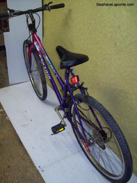 Vélo Pro Tour Cheetah 12 - StephaneLapointe.com