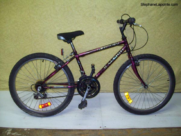 Vélo Raleigh Fire Storm - StephaneLapointe.com