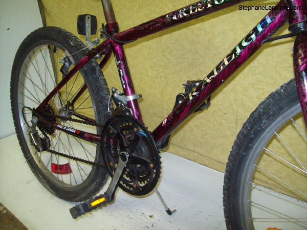 Vélo Raleigh Fire Storm - StephaneLapointe.com