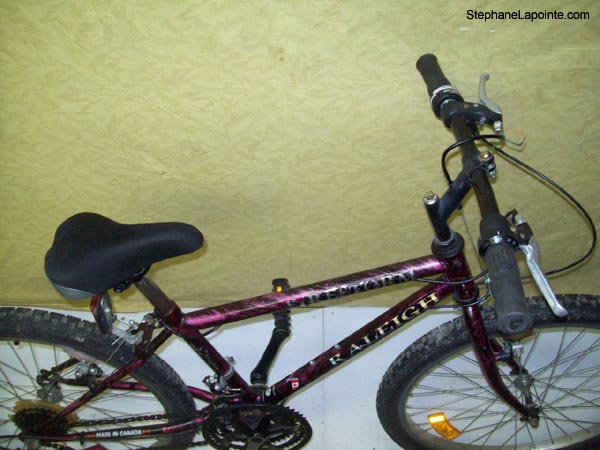 Vélo Raleigh Fire Storm - StephaneLapointe.com