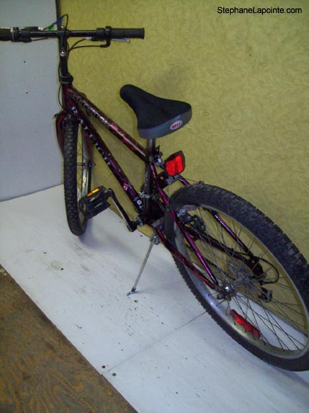Vélo Raleigh Fire Storm - StephaneLapointe.com