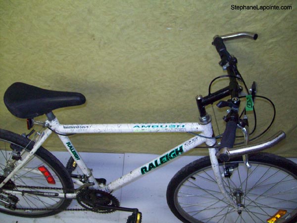 Vélo Raleigh Ambush - StephaneLapointe.com