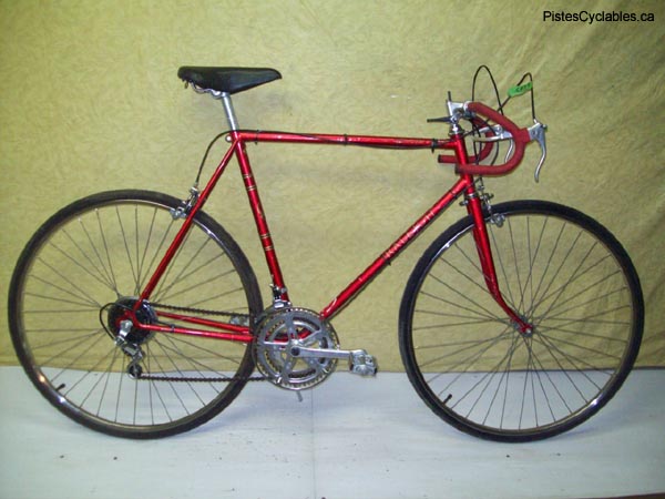 Vélo Raleigh Record LTD - StephaneLapointe.com