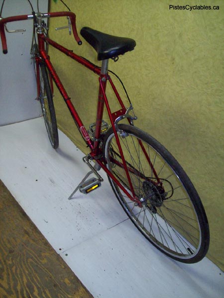 Vélo Raleigh Record LTD - StephaneLapointe.com