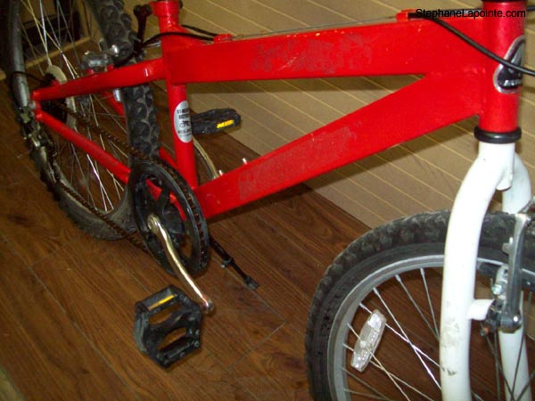 Vélo Miele  - StephaneLapointe.com