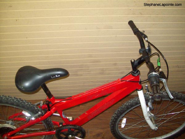 Vélo Miele  - StephaneLapointe.com