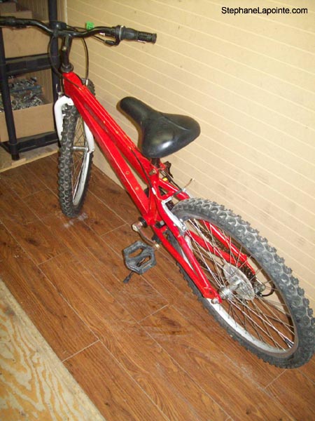 Vélo Miele  - StephaneLapointe.com