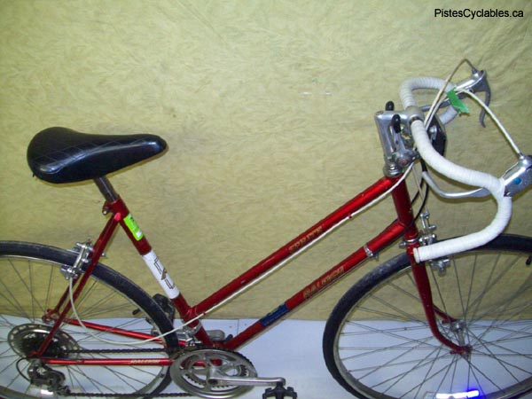 Vélo Raleigh Sprite - StephaneLapointe.com