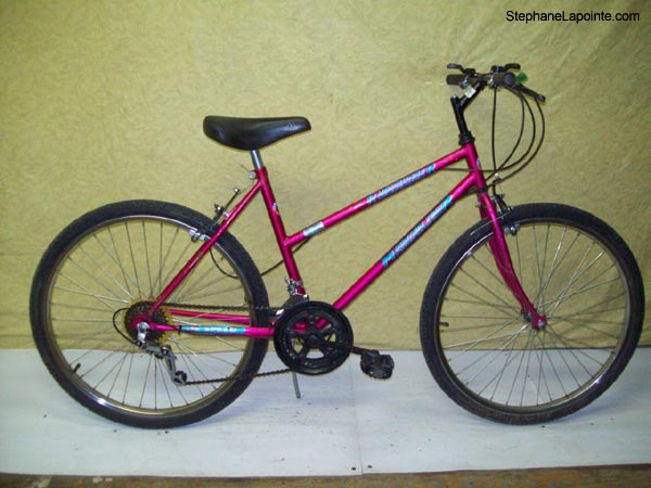 Vélo Venture Roadrunner - StephaneLapointe.com