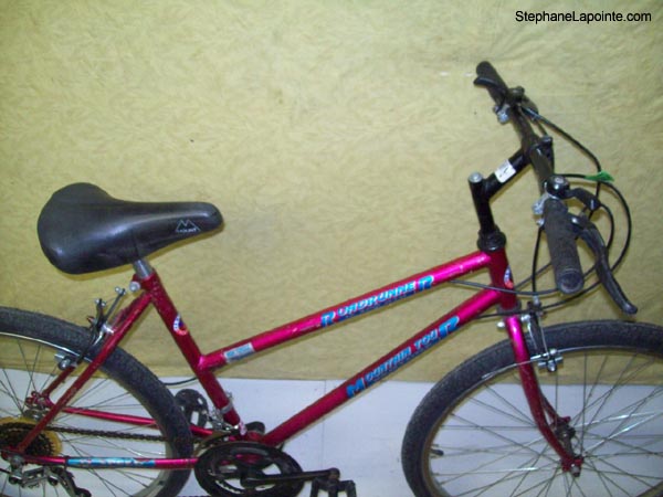 Vélo Venture Roadrunner - StephaneLapointe.com