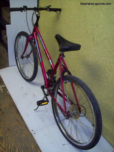 Vélo Venture Roadrunner - StephaneLapointe.com