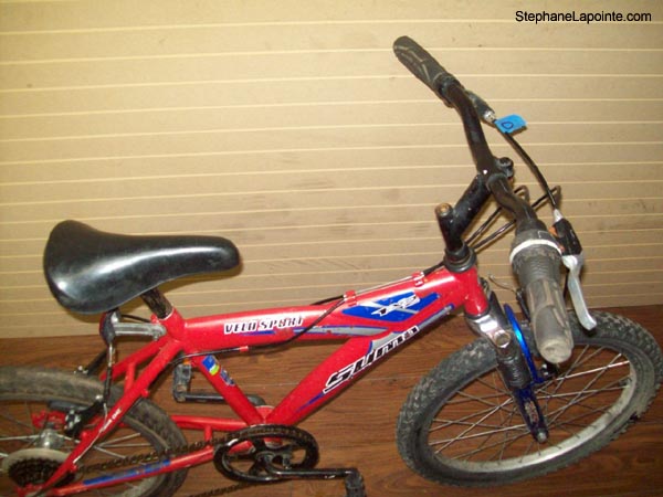 Vélo Velo Sport Sumo FX2 - StephaneLapointe.com