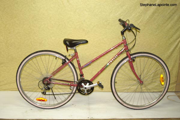 Vélo Minelli Mojave - StephaneLapointe.com