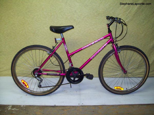 Vélo Triumph Ravine - StephaneLapointe.com